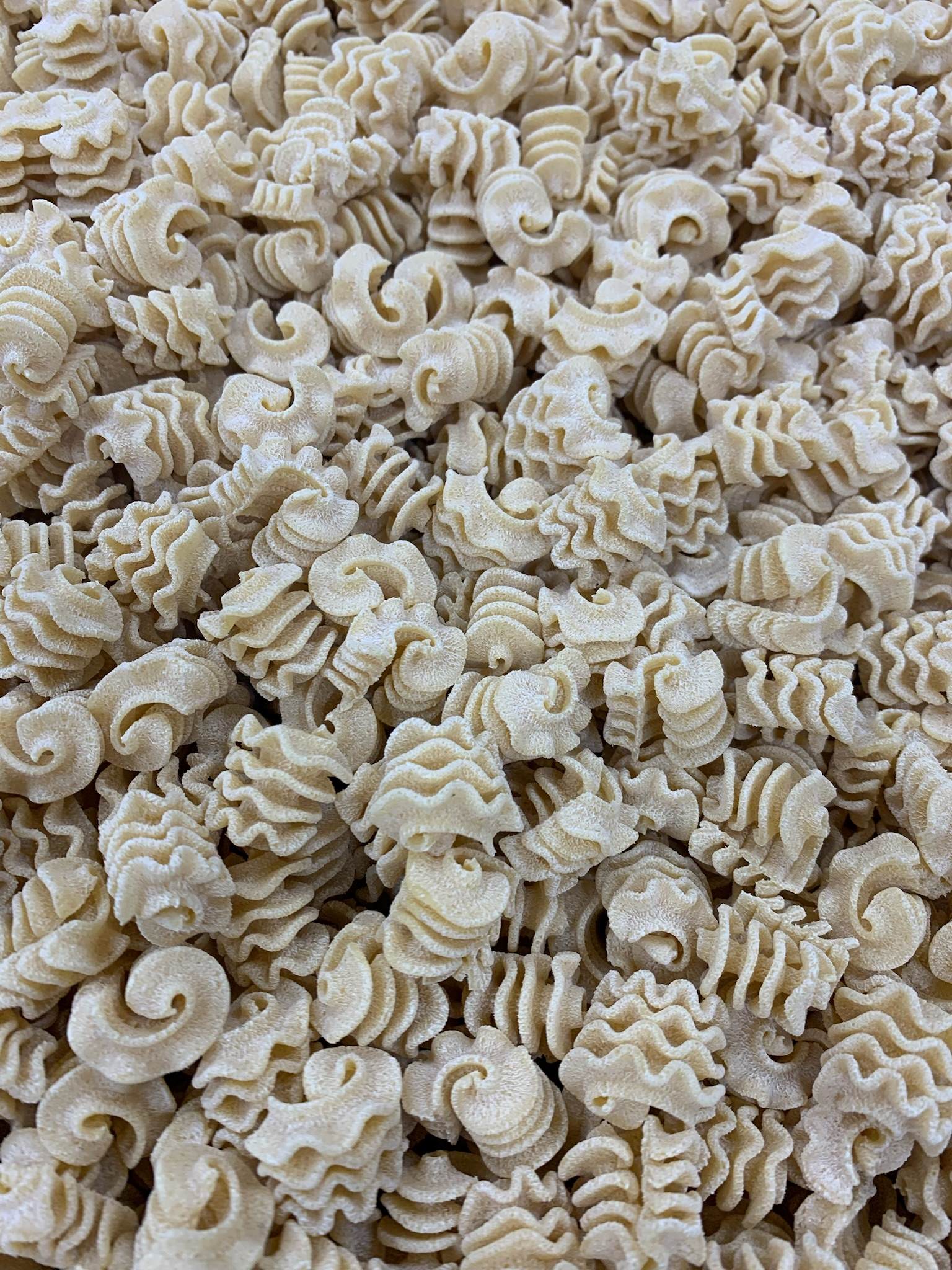 Radiatori | Angelo's Italian Market: REAL.FRESH.PASTA